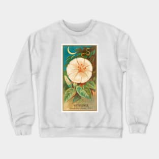 Moonflower (Ipomoea Bona Nox) Crewneck Sweatshirt